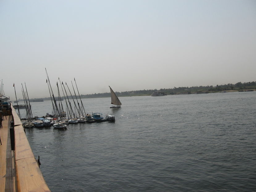 Picture 102 - Egipt 2010