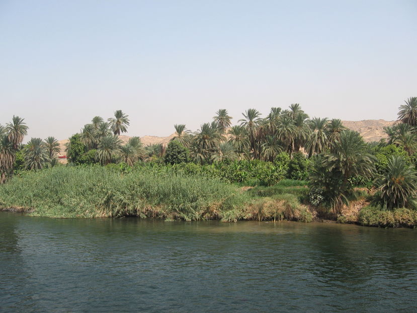 Picture 170 - Egipt 2010