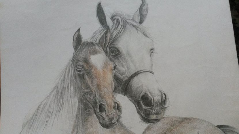 de pe mobil octombrie 2015 325