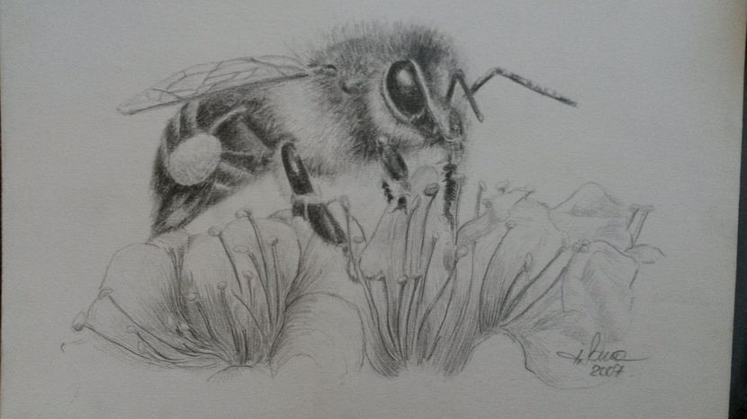 de pe mobil octombrie 2015 326