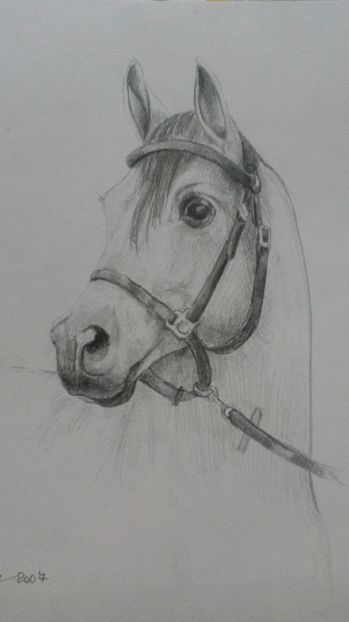 de pe mobil octombrie 2015 327