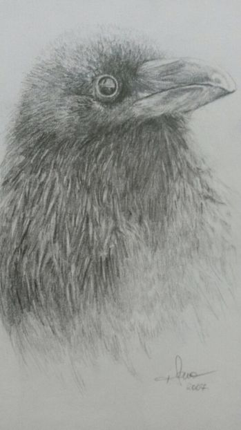 de pe mobil octombrie 2015 347