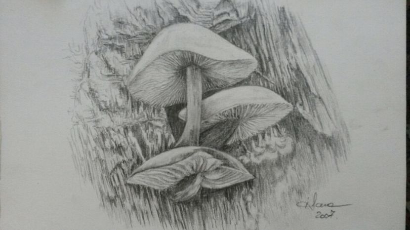 de pe mobil octombrie 2015 348