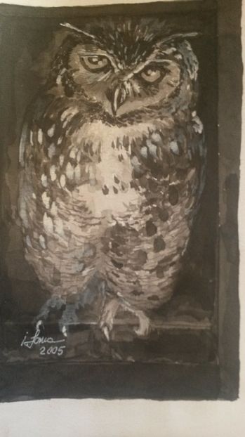 de pe mobil octombrie 2015 257