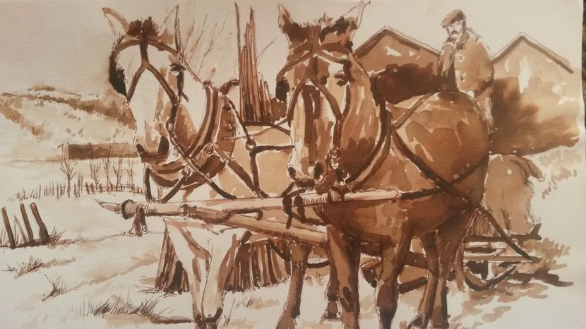 de pe mobil octombrie 2015 270