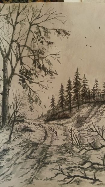 de pe mobil octombrie 2015 276