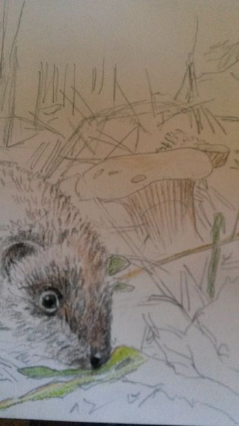 de pe mobil octombrie 2015 1150