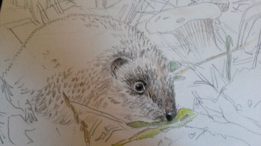 de pe mobil octombrie 2015 1151