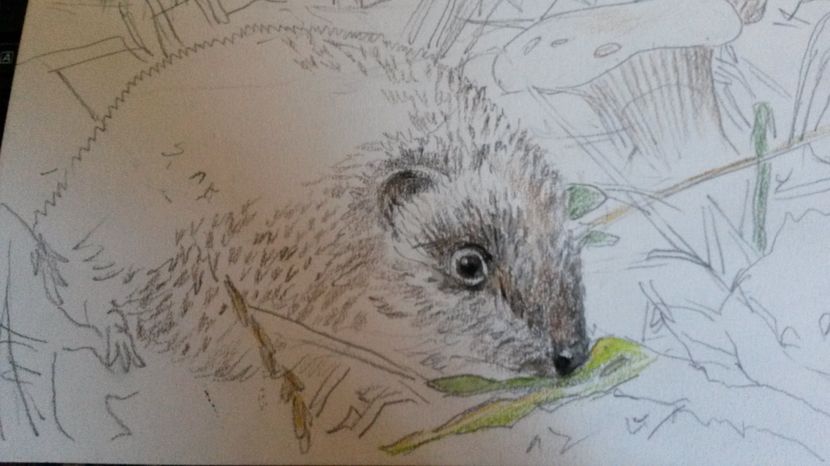 de pe mobil octombrie 2015 1152