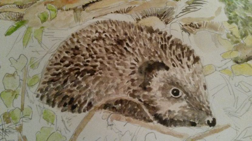 de pe mobil octombrie 2015 1159