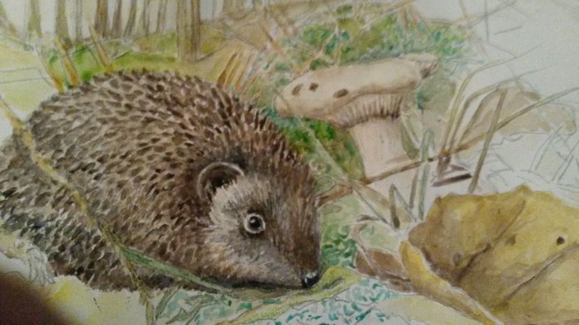 de pe mobil octombrie 2015 1161