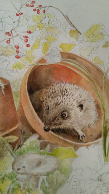 de pe mobil octombrie 2015 1162