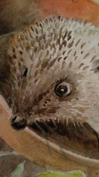 de pe mobil octombrie 2015 1163