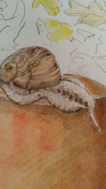 de pe mobil octombrie 2015 1164