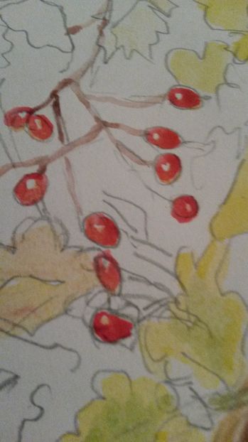 de pe mobil octombrie 2015 1165