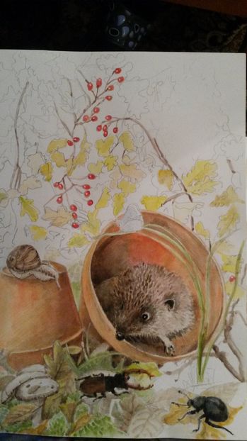 de pe mobil octombrie 2015 1240