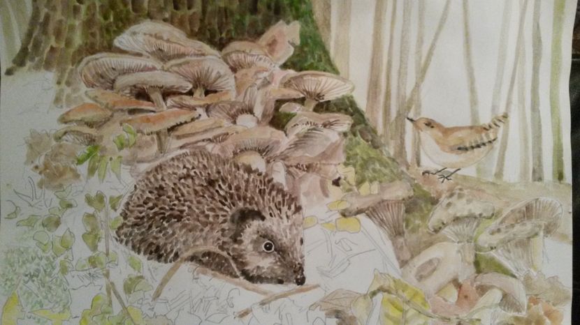 de pe mobil octombrie 2015 1241