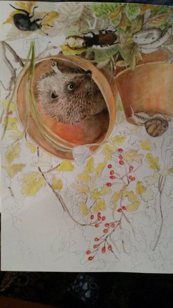 de pe mobil octombrie 2015 1242