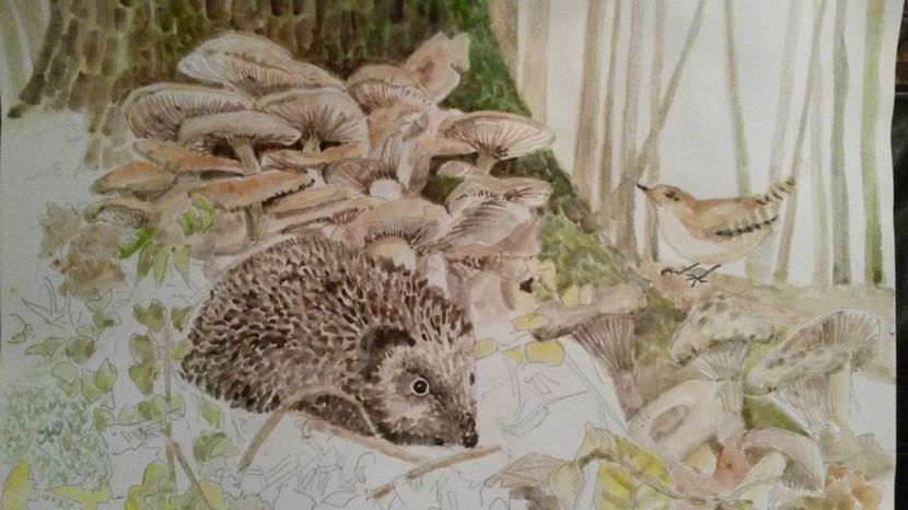 de pe mobil octombrie 2015 1246