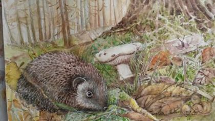 de pe mobil octombrie 2015 1369