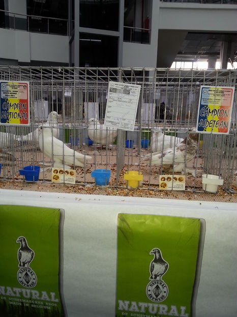  - Expo Craiova - Fauna Baniei 2016