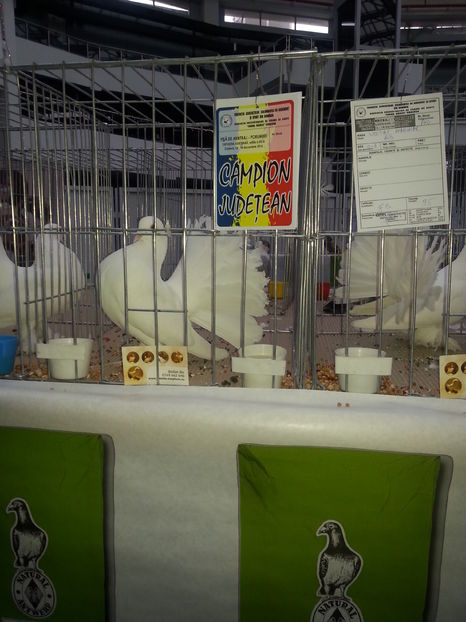  - Expo Craiova - Fauna Baniei 2016