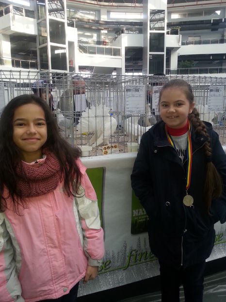  - Expo Craiova - Fauna Baniei 2016