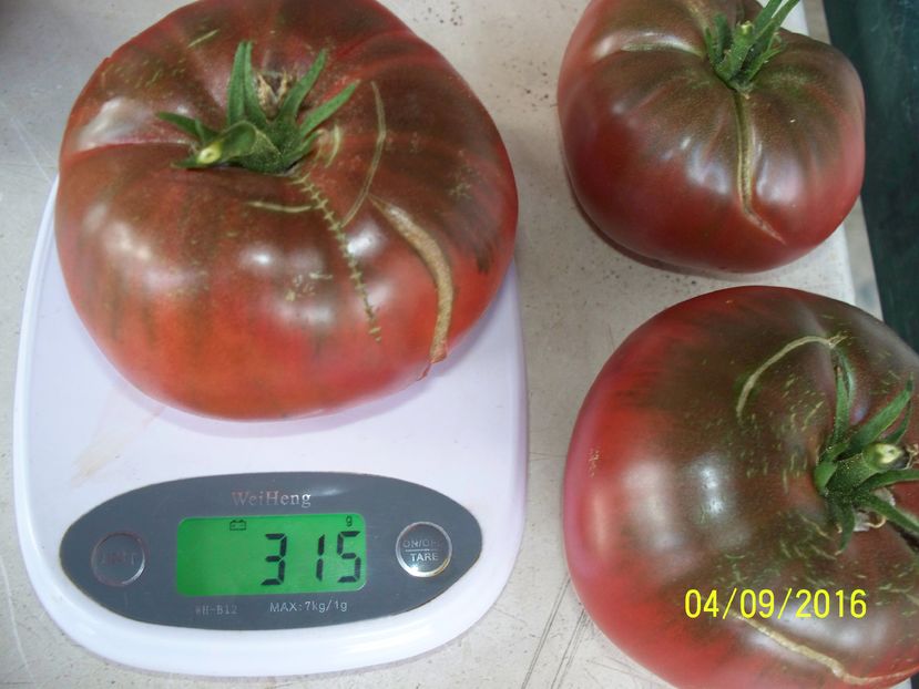 CHEROKEE F438  DE 315-