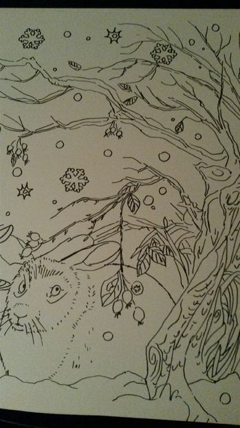 de pe mobil octombrie 2015 1029