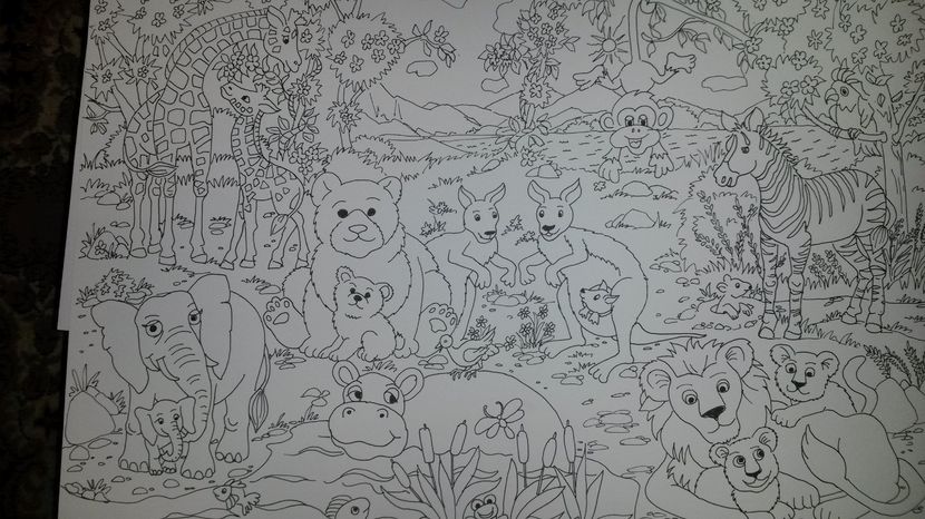 de pe mobil octombrie 2015 1041