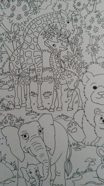 de pe mobil octombrie 2015 1065