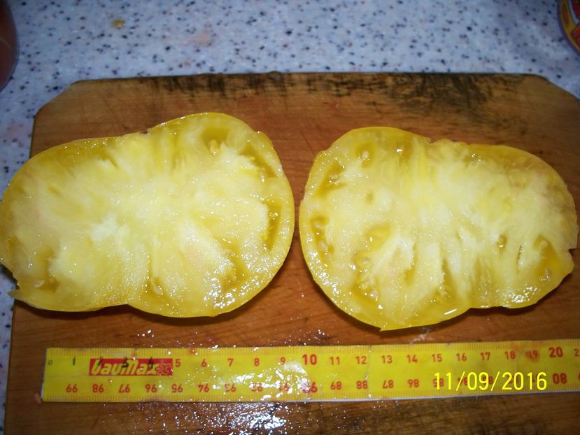 DIXIE GOLDEN GIANT (5)