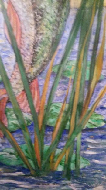 de pe mobil octombrie 2015 815