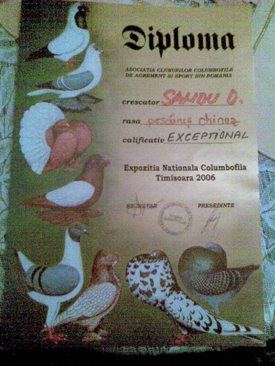 Expo timisoara 2006 - DIPLOME SI CUPE