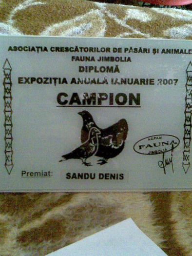 Expo Jimbolia 2007