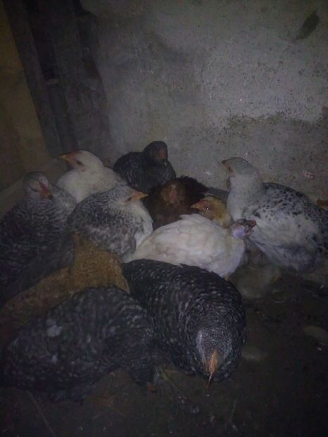  - Inca odata iulie 2016