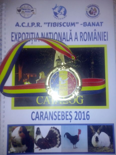 CAM05305 - EXPOZITIA NATIONALA DE LA CARANSEBES 2016