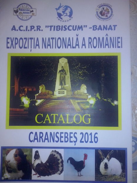 CAM05306 - EXPOZITIA NATIONALA DE LA CARANSEBES 2016