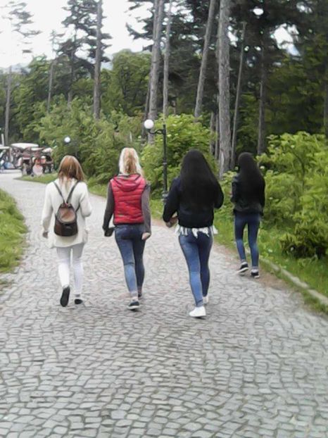 received_1576132762686387 - Pozele mele
