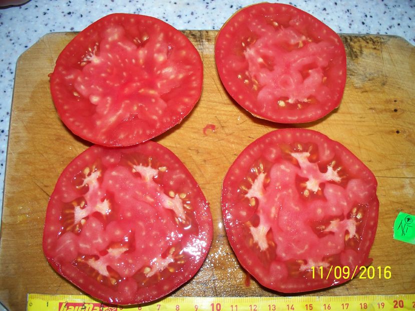 INIMA DE BELARUS DE LA UN FIR (3)