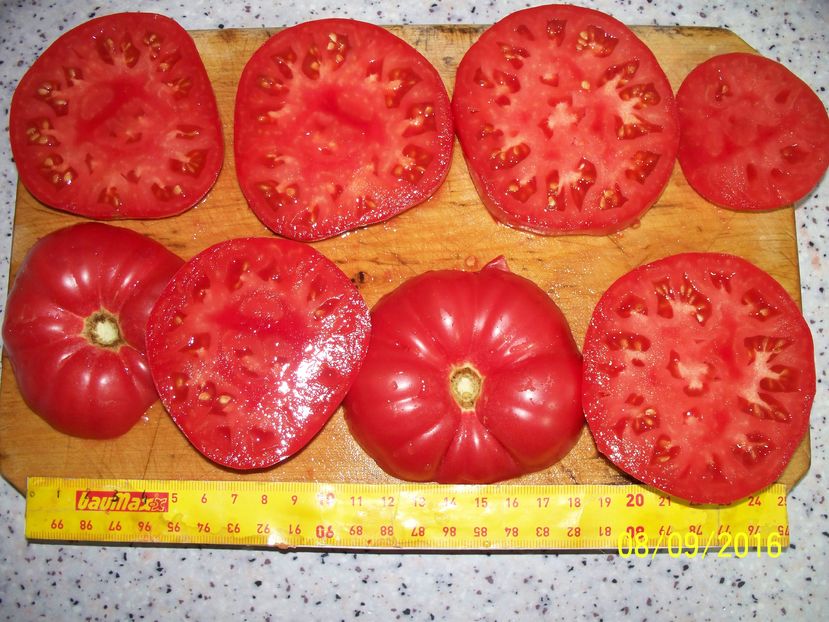 INIMA DE BIVOL BG SECT