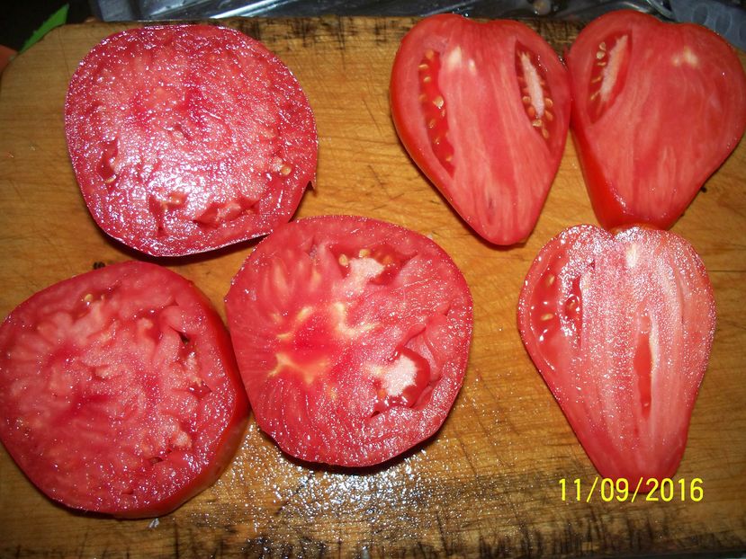 LACRIMILE FETEI SECT.