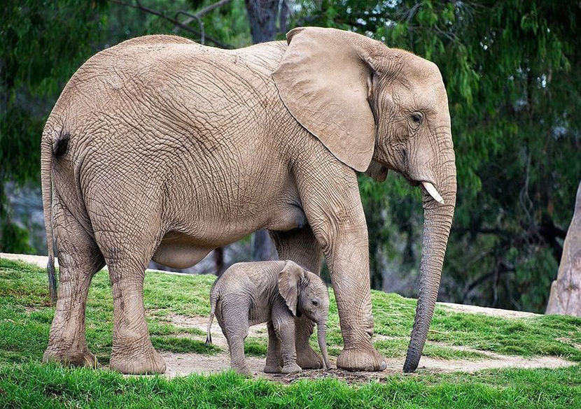 125974527_13891596885351n