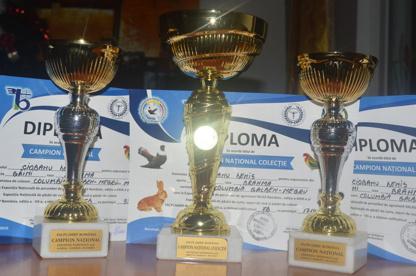  - 3 DIPLOME SI AUTORII ACESTORA