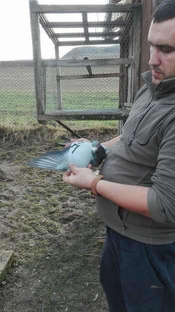 received_901051203345343; Favoritul..

Cel mai bun reproducator al meu
