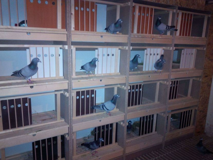 received_969329666517496