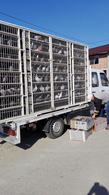 received_494656730726175