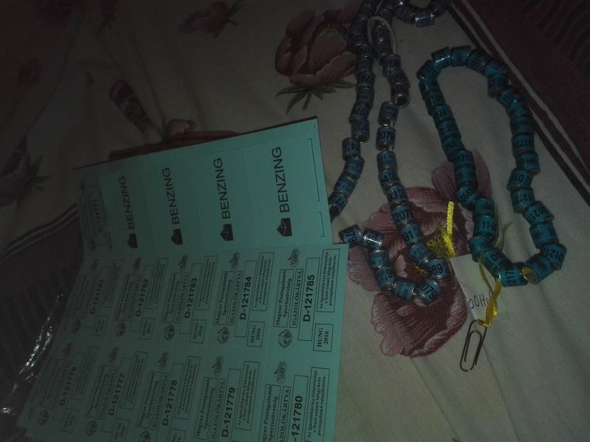 POZE TELEFON HUAWEI 061