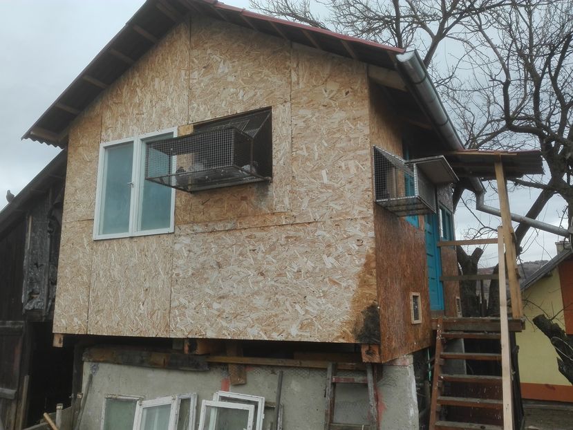 POZE TELEFON HUAWEI 065