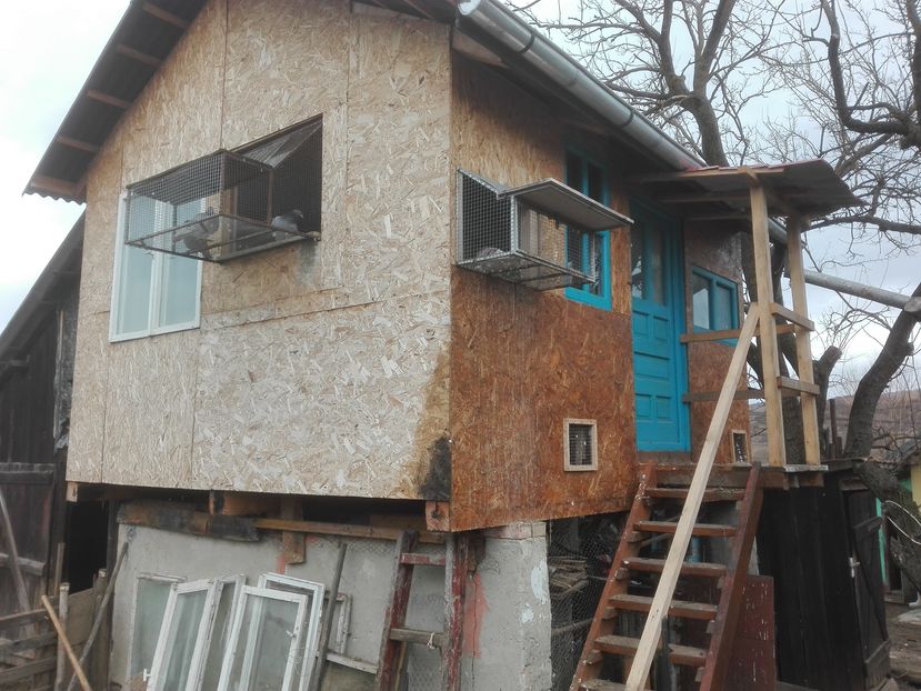 POZE TELEFON HUAWEI 066